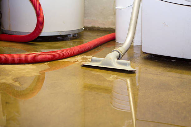 Sewage cleanup and water damage restoration in Bakersfield Country Clu, CA