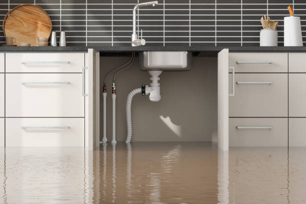Reliable Bakersfield Country Clu, CA Water damage restoration Solutions